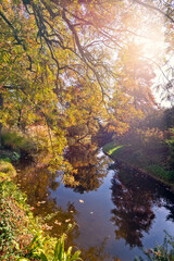 Wall Mural - Fall foliage in France. Autumnal colors landscape, reflections in a pond