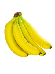 Wall Mural - a handful of bananas isolated on a white background