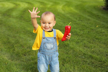 A Little Boy In A Yellow T-shirt Is Standing On The Lawn In The Park Holding A Red Bell Pepper