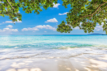 Wall Mural - Beautiful sandy beach with wave crashing on sandy shore at Similan Islands Beautiful tropical sea, Thailand