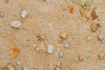 Texture of sand and stones on the beach