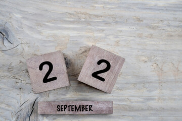 Wall Mural - cube calendar for september on wooden background with copy space