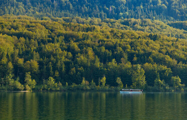 Wall Mural - Bohinj, Slovenia - August 11, 2021: A picture of a boat on Lake Bohinj.