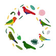 Design template with parrots in circle for kid print. Round composition of tropical birds kakariki, loriiane, eclectus and rosella. Vector set of jungle life in cartoon style.