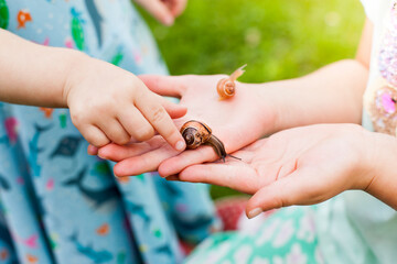 Children in biology class. Snails in the garden. Lesson in the garden. Kinder in Biologieunterricht. Schnecken im Garten. Unterricht im Garten.