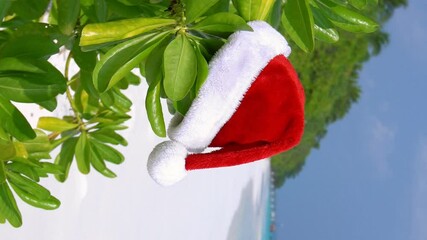 Wall Mural - Christmas helper hat on plant with green leaves at the beach, perfect getaway for your vacations. Vertical format video
