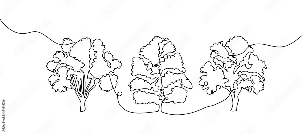 Trees one line set art. Continuous line drawing of plants, herb, tree, wood, nature, flora, poplar, maple, ash tree, linden. - obrazy, fototapety, plakaty 