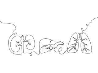 Wall Mural - Human internal organs one line set art. Continuous line drawing of kidneys, liver, lungs, gallbladder, pulmonary vein.
