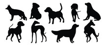 Vector Silhouette Of A Dog On A White Background.