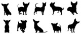 Fototapeta Koty - Cats Vector.  Isolated cat silhouette design for logo, print, decorative and sticker.