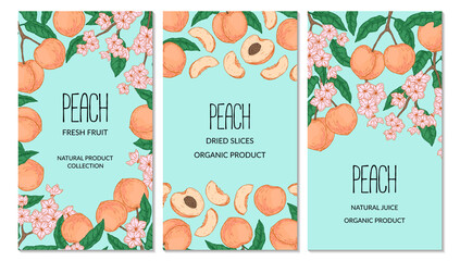 Set of hand drawn peach vertical designs. Vector illustration in sketch style