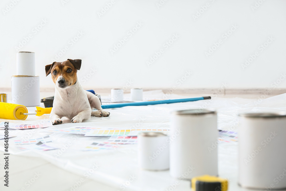 Cute dog with painter's tools in room