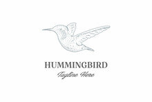 Vintage Retro Hand Drawn Hummingbird Or Colibri Bird Logo Design Vector