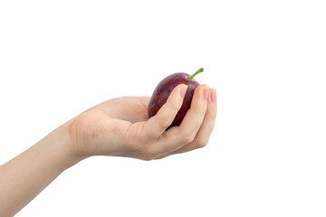 Sticker - Hand with fresh plum isolated on a white background photo