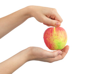 Wall Mural - Red fruit apple in woman hands isolated on a white background