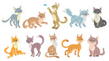 Fototapeta Pokój dzieciecy - Set of ten funny cats. In cartoon style. Isolated on white background. Vector flat illustration.