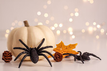 Close Up Of Decoration White Small Halloween Pumpkin, Black Horror Spiders Felt Yellow Leave And Pine Cones On Bright Blurred Background With Bokeh With Copy Space. Holiday Autumn Concept