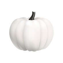 White Pumpkin For The Halloween Holiday Or Thanksgiving Day