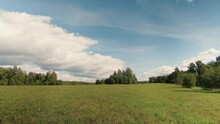 A Beautiful Field With Green Grass Outside The City. Bushes And Trees Can Be Seen In The Distance. A Narrow Strip Of Forest On The Horizon. Blue Sky And White Clouds. Wonderful Nature And Tranquility.