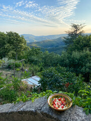 Sticker - Salade de tomates, paysage de montagne dans les Cévennes