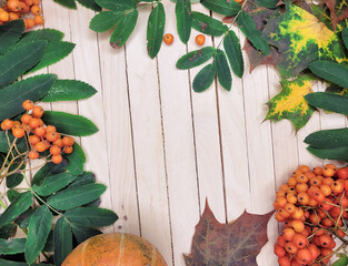 autumn leaves and berries