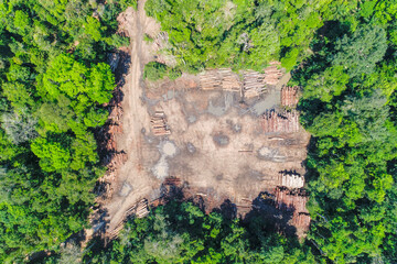 Aerial view of a log storage yard from authorized logging in an area of the brazilian Amazon rainforest.