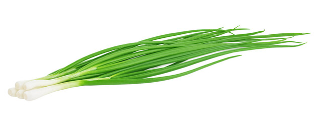 Wall Mural - Heap of fresh green onion isolated on white background.