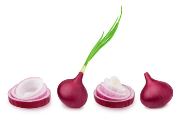 Wall Mural - Collection of a red onion isolated on white background.
