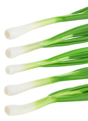 Wall Mural - Collection of a fresh green onion isolated on white background.