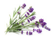 Lavender Isolated On White Background Flat Lay