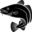 monochrome illustration of cod fish