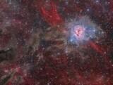 Fototapeta Kosmos - The Cocoon nebula or Sh2-125 in the constellation Cygnus