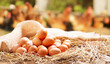 © Nitr - chicken eggs on a wooden table over farm in the countryside