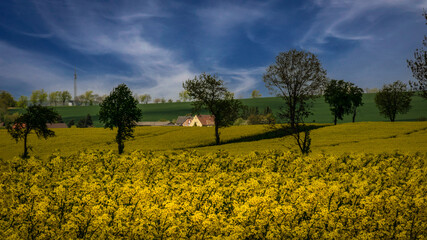 Wall Mural - Natur