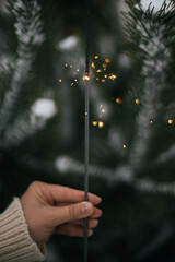 Wall Mural - Hand holding burning sparkler on background of pine tree branches in snow in evening. Happy New Year!  Woman hand in cozy sweater with glowing firework. Atmospheric magic moment. Happy Holidays!