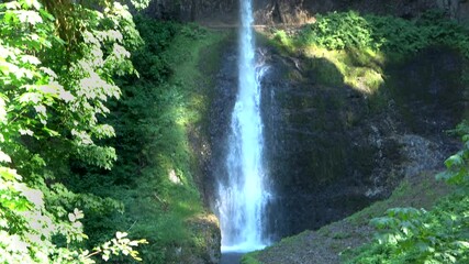 Wall Mural - The Middle North Falls in the Silver Falls State Park, Oregon