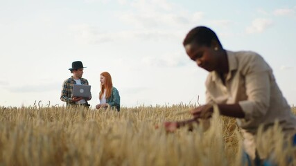 Poster - Closeup to the camera taking video from the back walking through the large wheat field man farmer and take his hat off