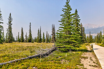 Wall Mural - Landscapes along the shores of Abraham Lake and the South Saskatchewan River in the Canadian Rocky Mountains