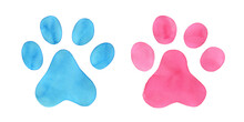 Animal Paw Prints In Light Blue And Pink Colors. Cute Male And Female Symbol. Hand Drawn Watercolour Sketch On White Background, Isolated Clip Art Elements For Design, Flyer, Banner, Poster, Stickers.