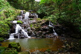 Fototapeta Kuchnia - 石川県能美市の七つ滝のうちのひとつ、三の滝