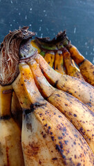 Sticker - Close up of ripe banana cluster with a golden yellow color on a black background