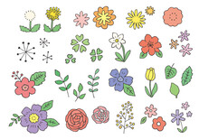 手描きの花イラストのセット（カラー）