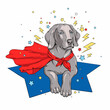 Cute weimaraner dog in superhero cape. Stylish image for printing on any surface
