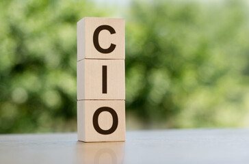 The word CIO - chief information officer, built from wooden cubes outdoors on the background of nature.