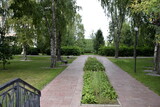 Fototapeta Miasto - path in the park