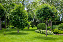 Manicured Park With Green Plants On A Green Lawn With A Flower Bed And Trees In The Garden For Relaxation Summer Landscape, No One.
