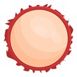 © nsit0108 - Summer rambutan icon cartoon vector. Tropical fruit. Organic rambutan
