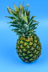 Wall Mural - Whole ripe pineapple on the blue background