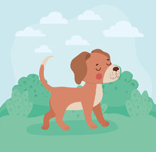Brown Dog Illustration