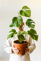 Man holding pot with house plant